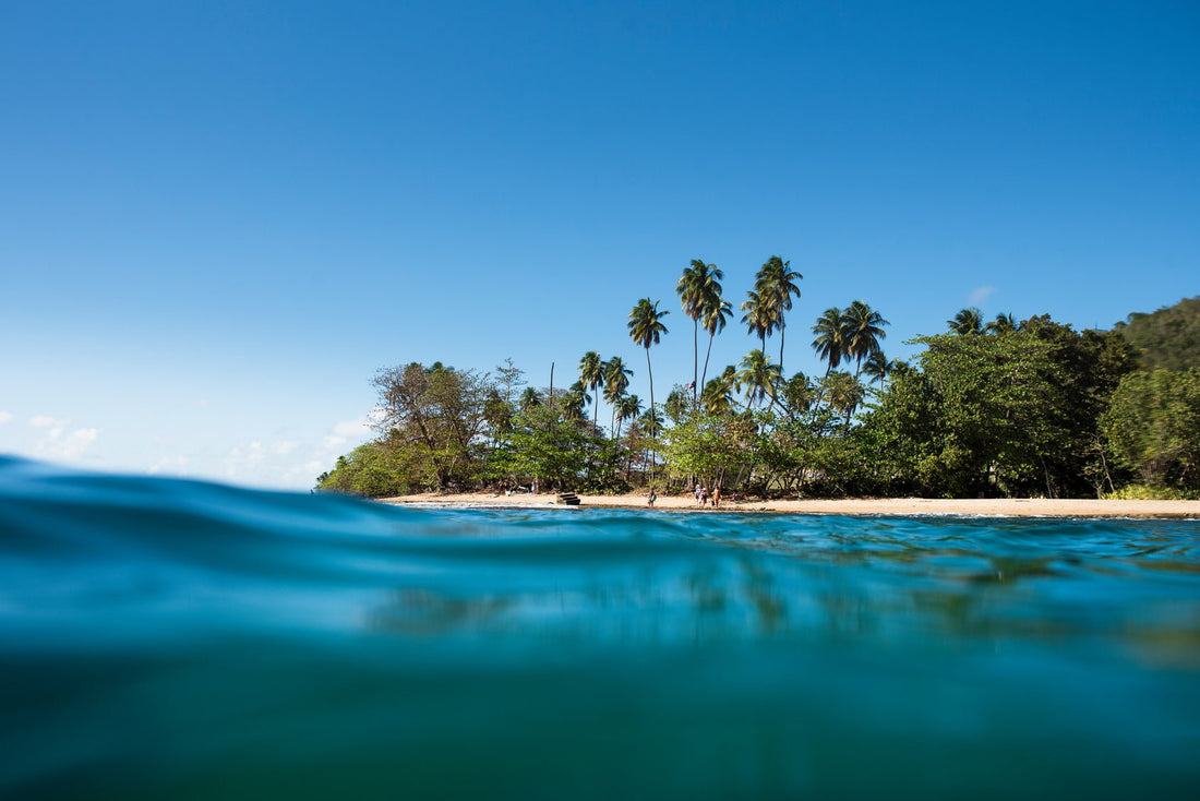 Reserva Marina Tres Palmas: Un paraíso para la vida marina y actividades acuáticas. - stoked: Xpresso your surf.