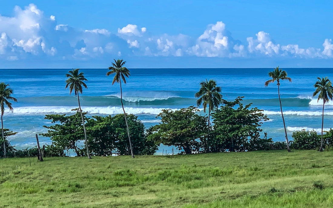 The Ultimate Guide to Rincón, Puerto Rico: Beaches, Food, Places to Stay & More - stoked: Xpresso your surf.