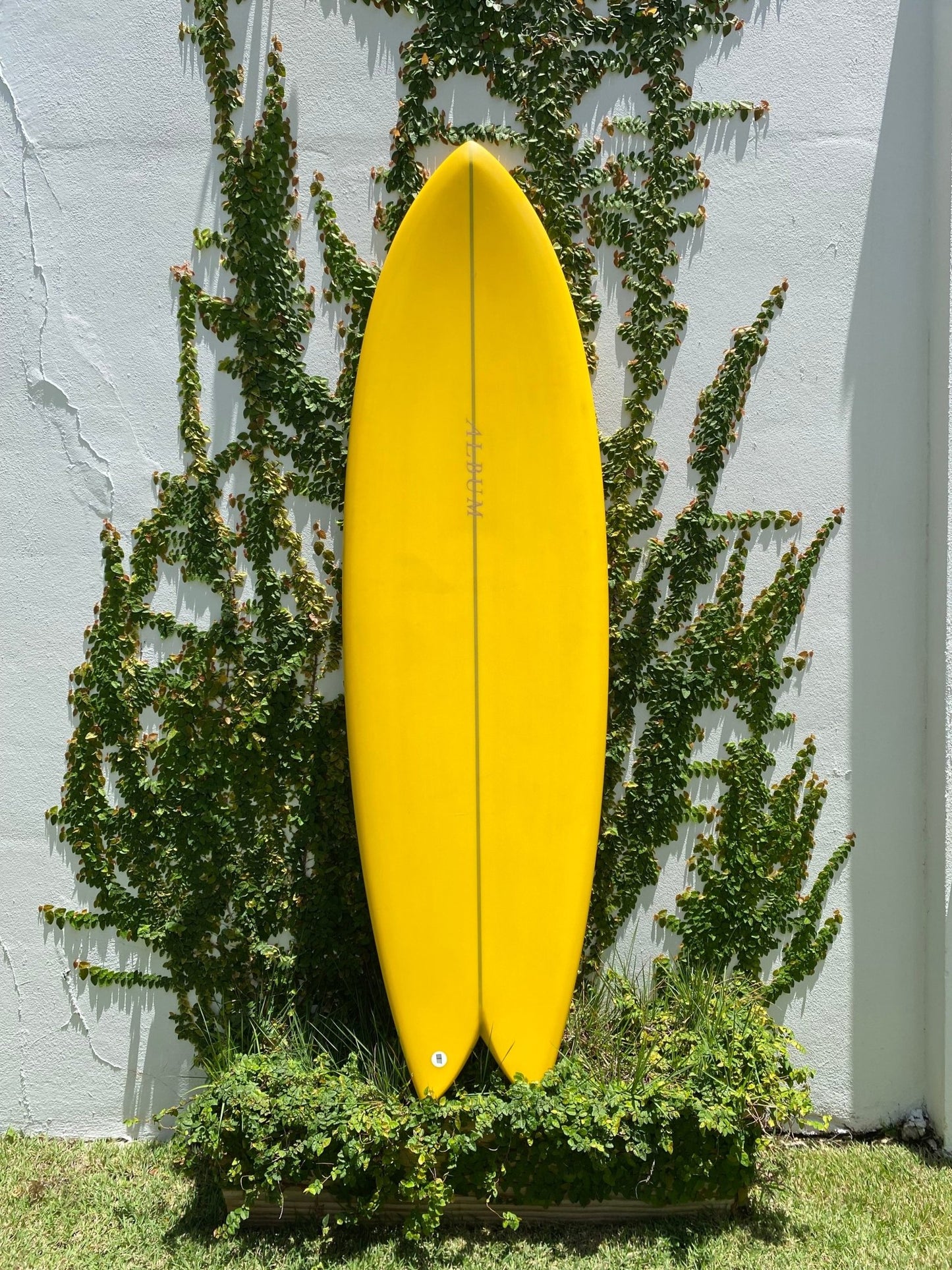 Sunstone 6'1" 42.5L - stoked: Xpresso your surf.